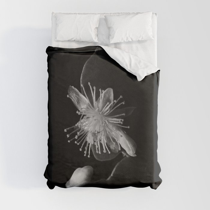 Minimalistic Black and white photography of a cactus flower Duvet Cover