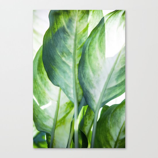 tropic abstract Canvas Print