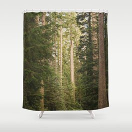Redwood Forest Black Bear Adventure - National Parks Nature Photography Shower Curtain