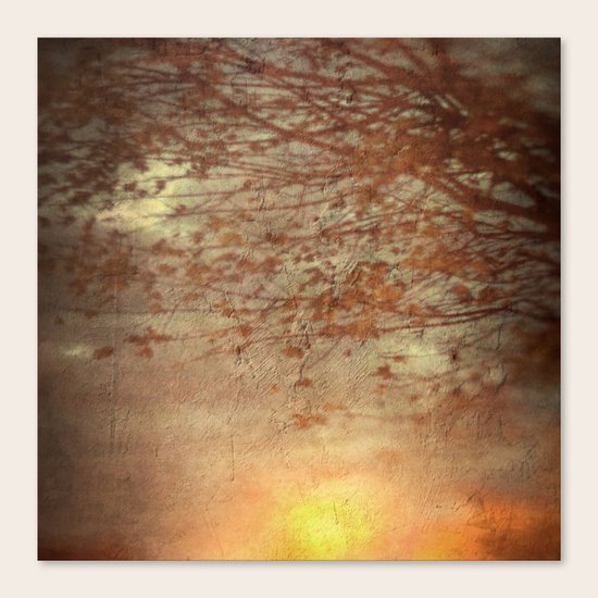 Amber Dawn Canvas Print