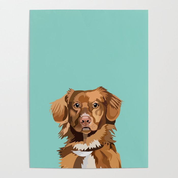 Nova Scotia Duck Tolling Retriever pet portrait wall art and gifts for dog breed lovers Poster