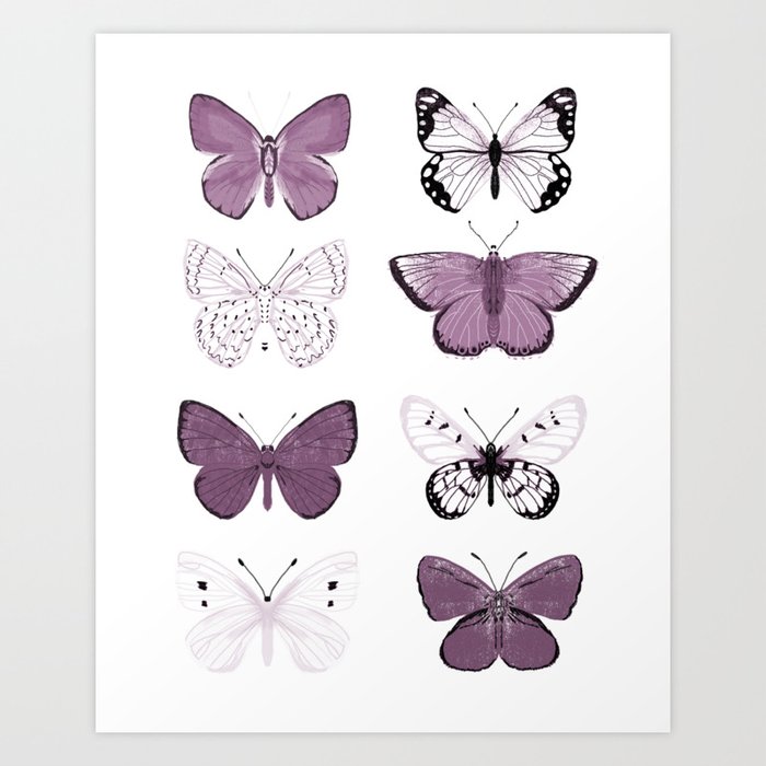 Scratch & Sketch Art Activity Book - Wild Cats – Purple Butterfly