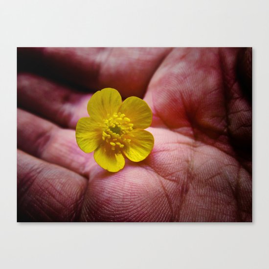 Pickin' Wild Flowers Canvas Print