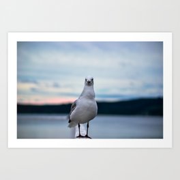 The Seagull in color Art Print | Animal, Photo, Nature 