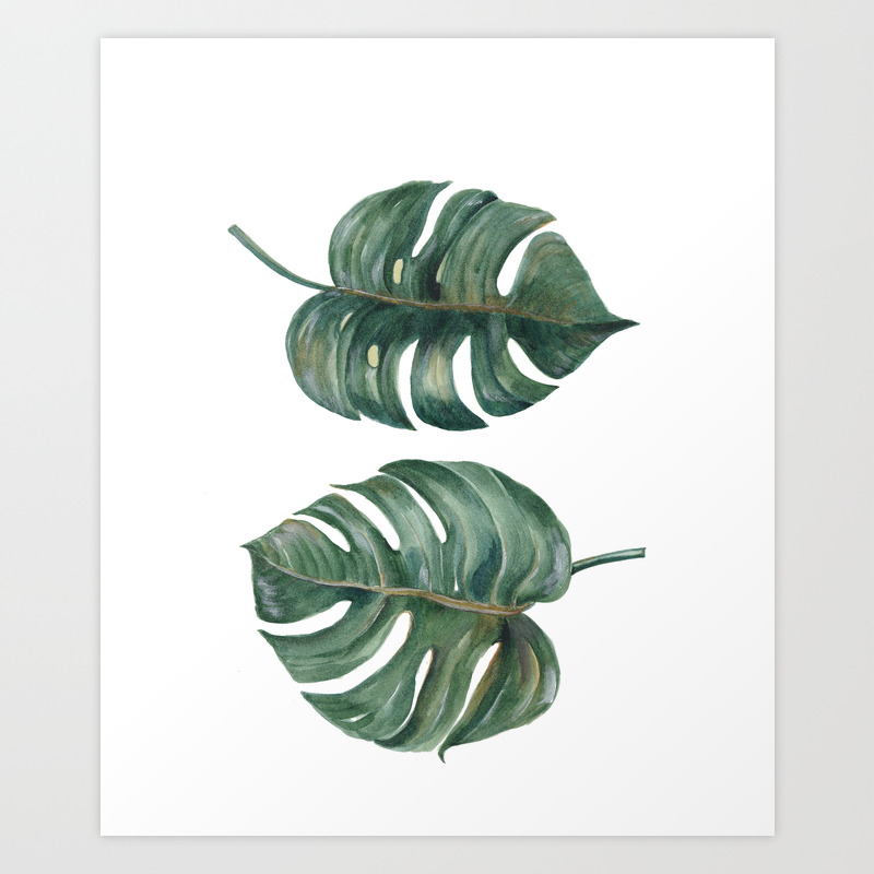 Tropical Split Leaves Philodendron Plant Botanic Watercolor