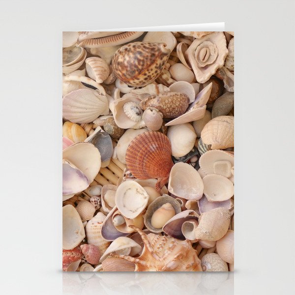 Seashell Collection Stationery Cards