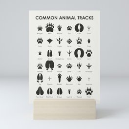 Animal Tracks Identification Chart or Guide Mini Art Print