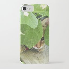 The cat hidden behind the leaves iPhone Case