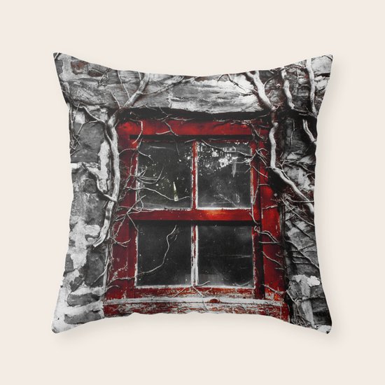 Barn Window Throw Pillow