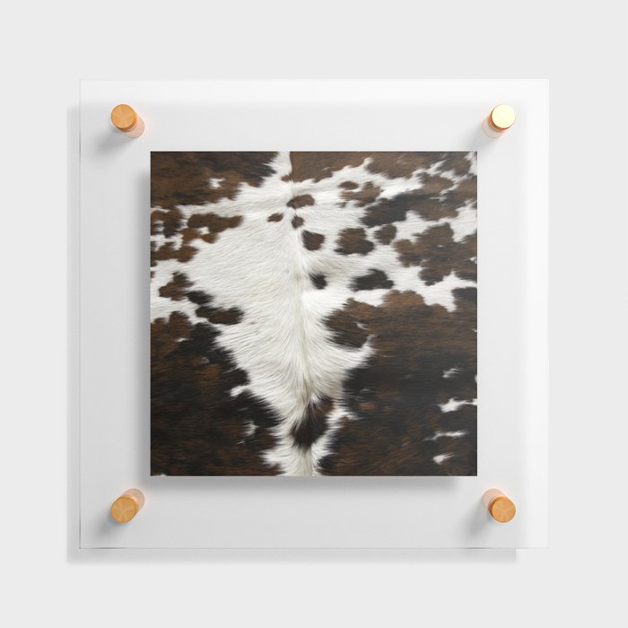 Cowhide, Cow Skin Print Pattern Floating Acrylic Print