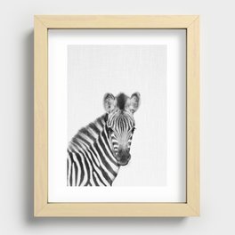 Baby Zebra Recessed Framed Print