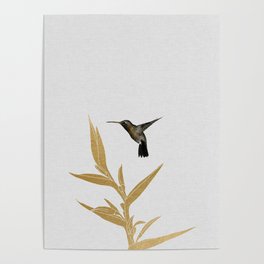 Hummingbird & Flower II Poster