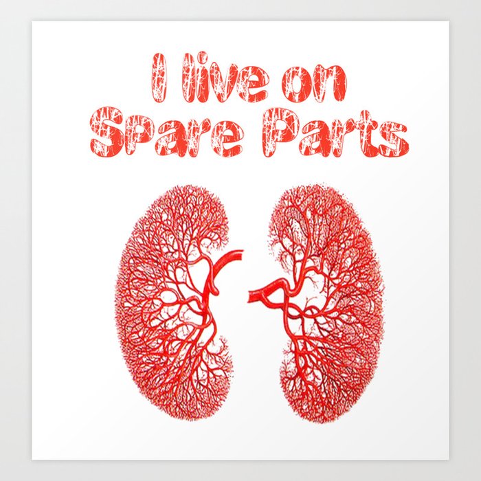 kidney spare parts Art Print