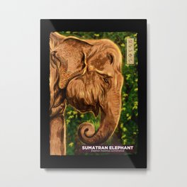 Sumatran Elephant - Black Metal Print