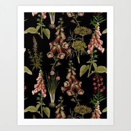 Vintage Botanical Springflowers And Herbs Midnight Garden Art Print