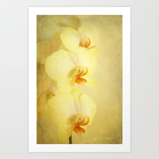 orchid Art Print