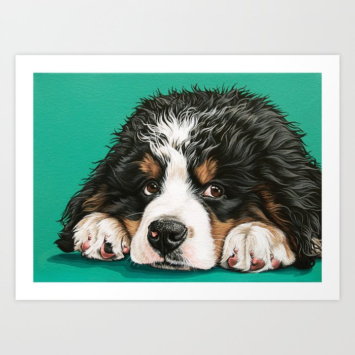 Cute Bernese Mountain Dog Puppy Pet Portrait Art Print By