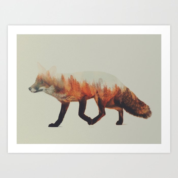 Norwegian Woods: The Fox Art Print
