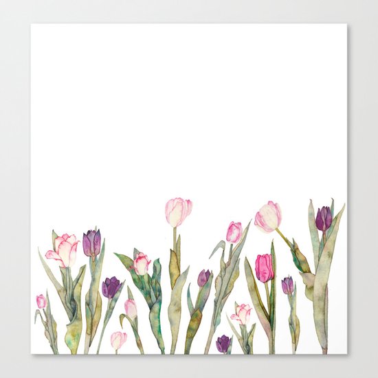 Tulips Canvas Print