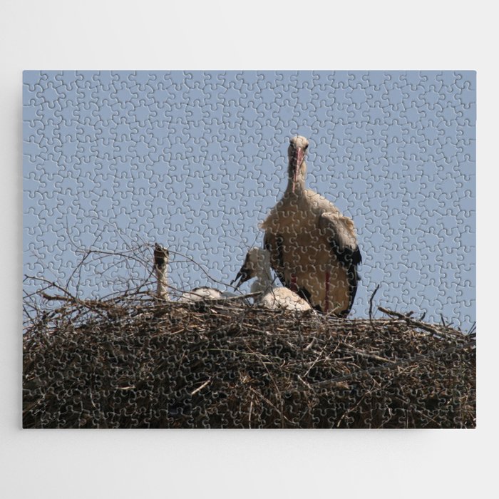 She Stork and Fledgling Baby Storks Photograph Jigsaw Puzzle
