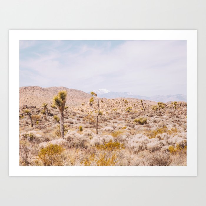 Desert Color - Boho Joshua Tree Photography Art Print