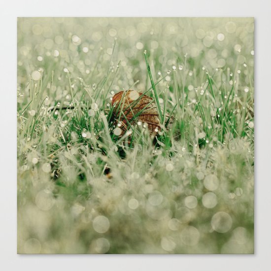 in dream land Canvas Print