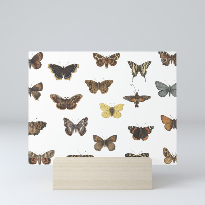 Butterfly Moth Pattern Mini Art Print