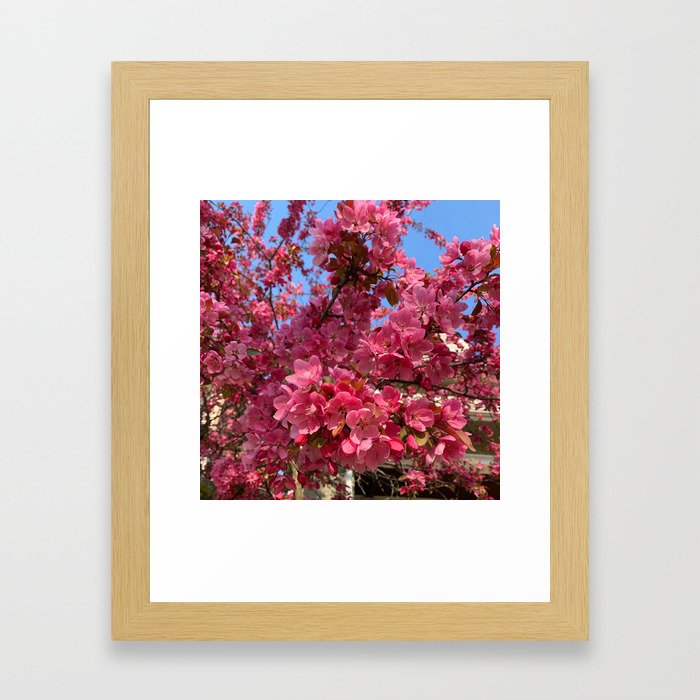 Spring Flowers in Bloom Framed Art Print