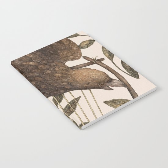 Cosmos - Lyra Notebook