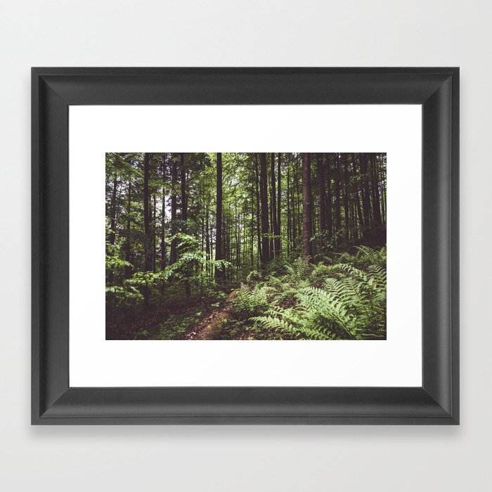 Woodland - Landscape and Nature Photography Framed Art Print