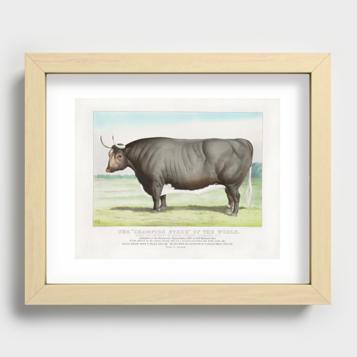 The Champion Steer Of The World - Po'keepsie NY - 1876 Recessed Framed Print