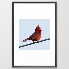 Bird on a Wire Framed Art Print