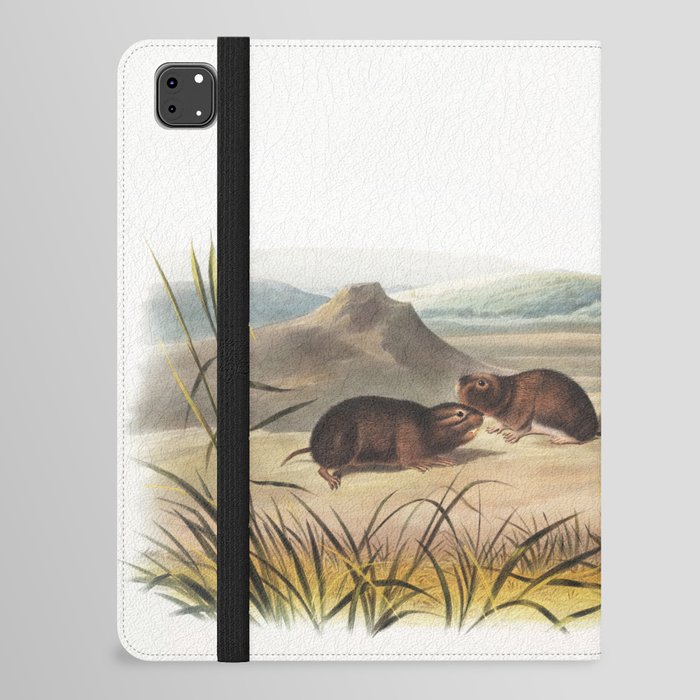 Northern Meadow-Mouse  from the viviparous quadrupeds of North America (1845) illustrated by John Woodhouse Audubon iPad Folio Case