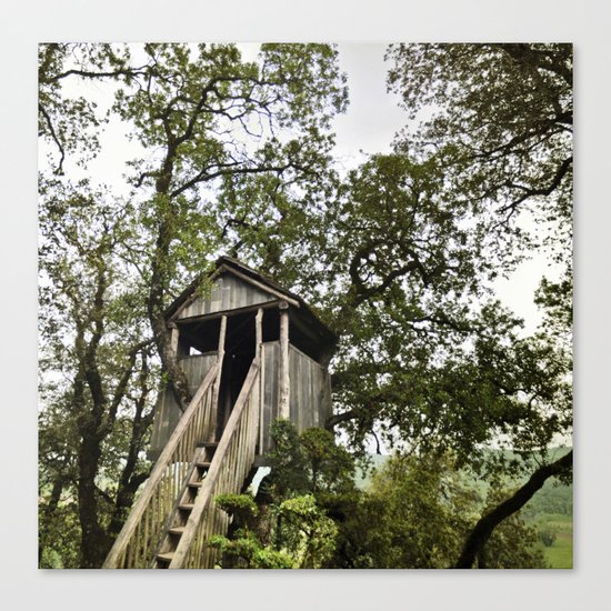 dream house Canvas Print