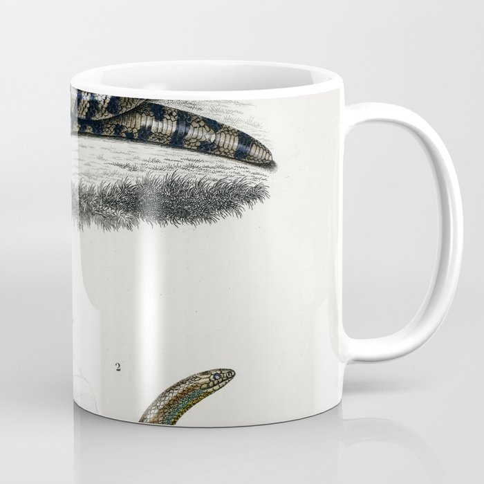 Anilius and Slug Eater Coffee Mug