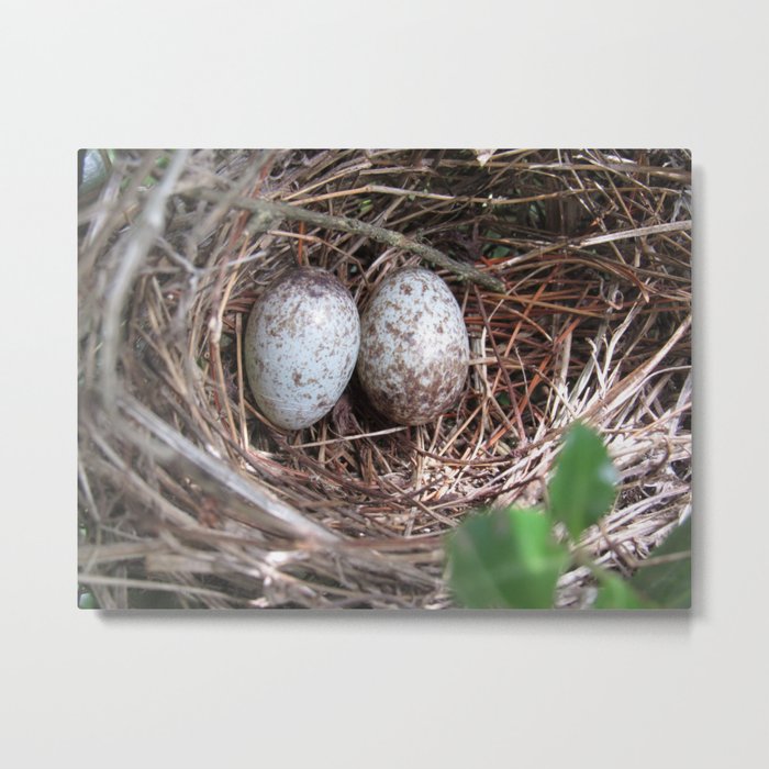 Eggs in Nest Metal Print
