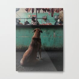 Dinner time Metal Print | Dog, Guatemala, Photo, Digital, Iphone, Color, Urban, Market, Straydog 