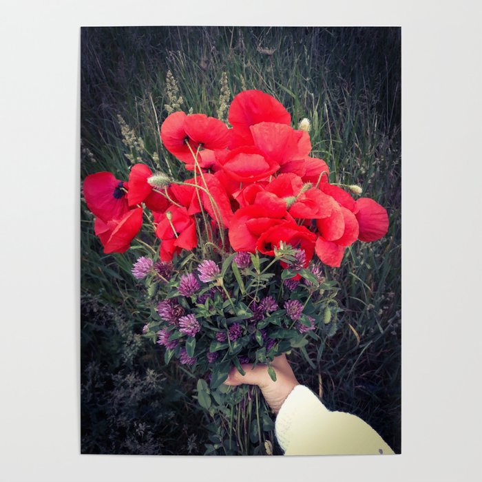 Summer red poppies and clover bloquet in woman's hand field essence Poster