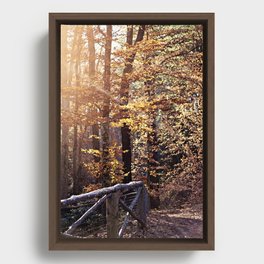 Autumn Daze Framed Canvas