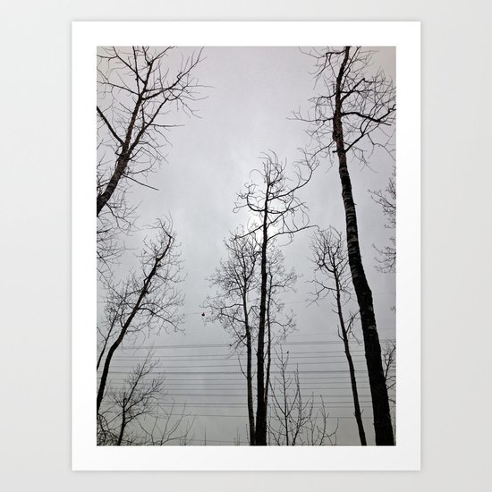 Bare Trees series (8) Art Print