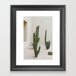 Cabo Cactus VI Framed Art Print