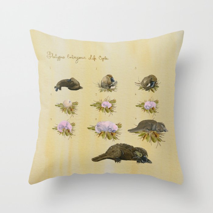 Platypus Embryonic Life Cycle Throw Pillow
