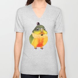 Fanciful Conure with Hat V Neck T Shirt