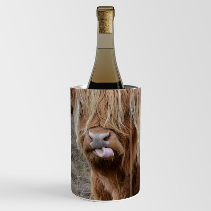 Scottish Highland Cow | Scottish Cattle | Cute Cow | Cute Cattle 05 Wine Chiller