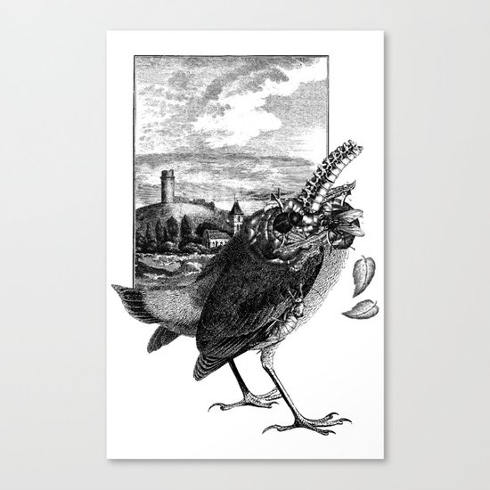 Decapitated bird Canvas Print