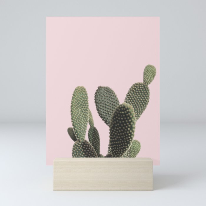 Prickly Cactus Mini Art Print