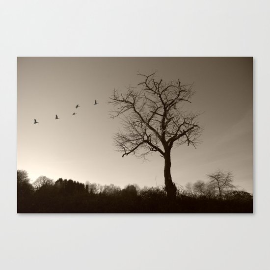 Melancholy in December Canvas Print