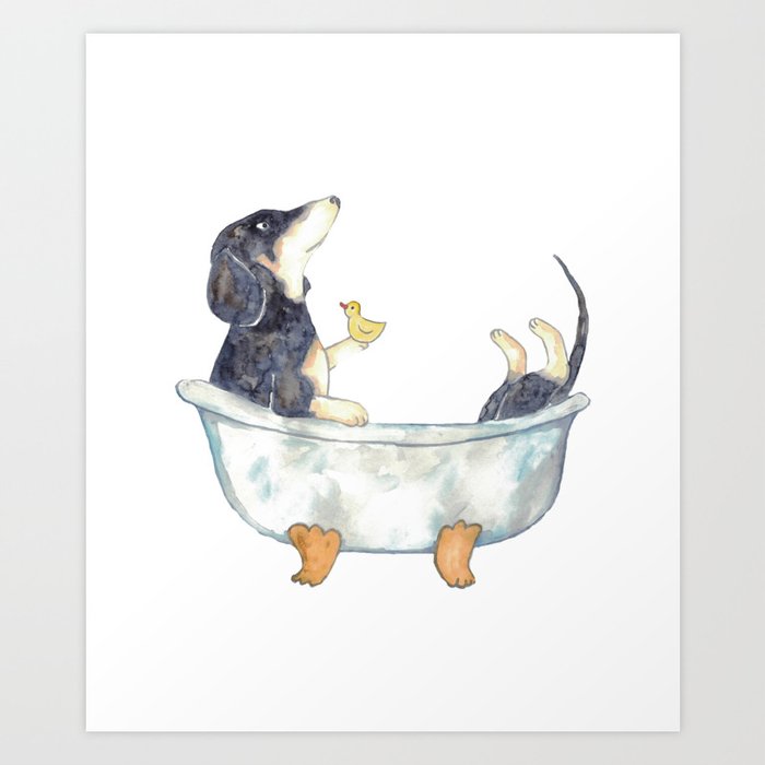 Dachshund taking bath watercolor Art Print