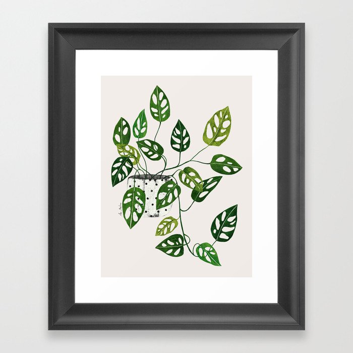 Monstera obliqua interior plant Framed Art Print