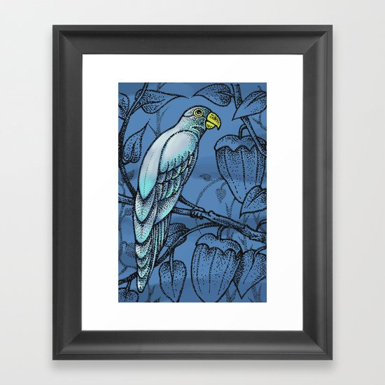 PAPPAGALLO Framed Art Print
